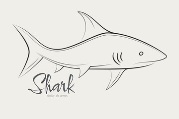 Outline Shark Side View. Shark Icon Vector Illustration