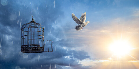 Dove flying to freedom (dove created with generative AI)