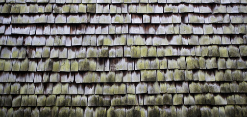 a house wall covered with small wooden tiles,gray background for design