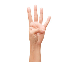 Naklejka premium Woman palm hand, four fingers pointing upwards, 4, isolated on white background with clipping path