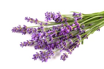 Blooming lavender. - 564989603