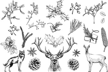 Classy Retro Christmas Collection: Various animals and botanicals. Beautifully elegant hand-drawn elements to create your own winter and holiday-themed decoration for graphic design projects such as