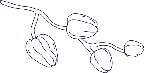 Orchid flower contemporary floral design