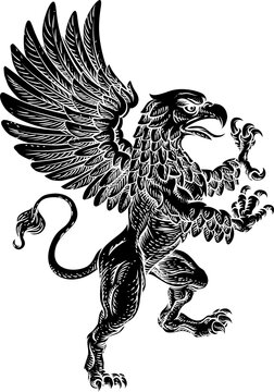 Griffin Rampant Griffon Coat Of Arms Crest Mascot
