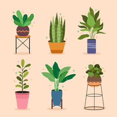 Flat design of natural houseplant collection set vector design