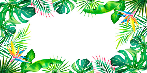 Fototapeta na wymiar A frame made of tropical plants. Monstera, palm branch, strelitzia, banana leaves. Watercolor illustration.