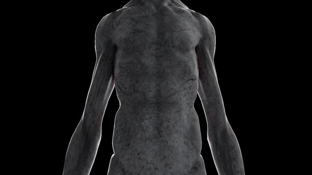 3D rendered animation of an alien