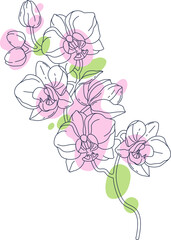 Orchid flower contemporary floral design