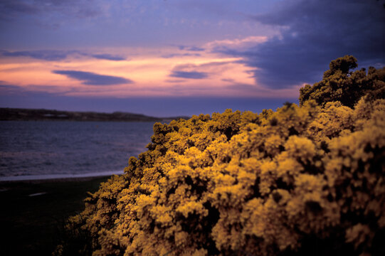 Falkland Islands