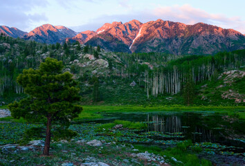 Beaver pond reflects Aspen trees as the mountains catch the last bit of the setting sun.