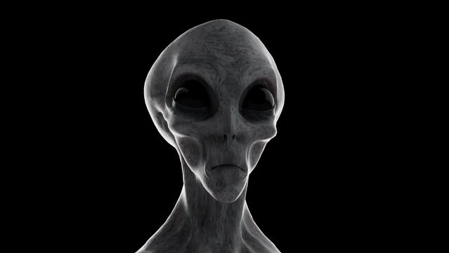 3D rendered animation of an alien's head