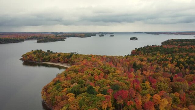 forest treetops in all colors by the Great Lakes of North America, Lake Huron. Vivid colorful leaves in the autumn season. A stunning color palette of changing leaves in the fall. Toronto Canda.