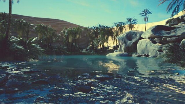 Fantasy pond oasis in a palm forest