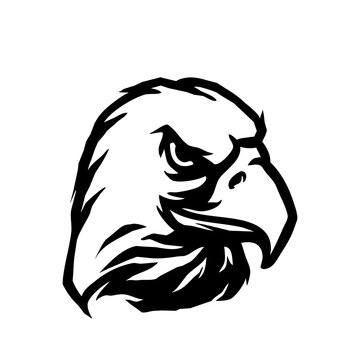 head of eagle