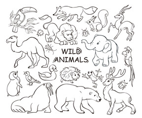 Set of wilde animals doodles, hand drawn icon illustrations on white background. Banner traditional sketch line art style. Vector cartoon isolated illustration.