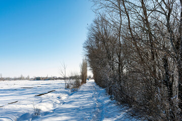 winter landscape with river