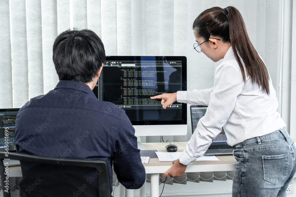 Aufkleber team of two professional programmers working on website projects in software development and making 