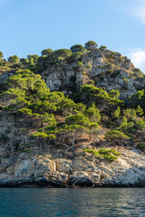 Landscape of the Costa Brava in summer.