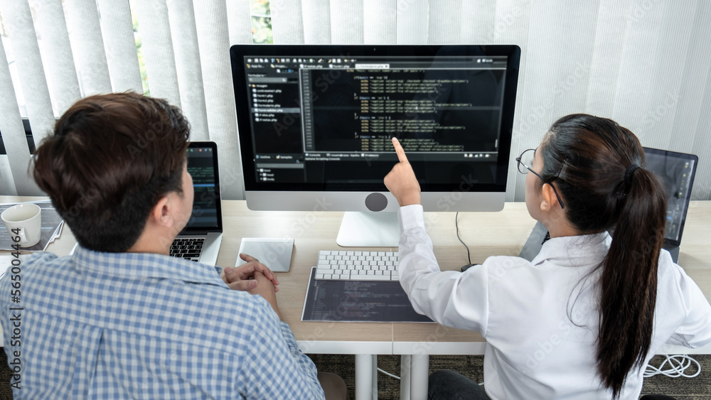 Leinwandbilder Team of two professional programmers working on website projects in software development on the desktop computer and making coding and typing data code password security in office