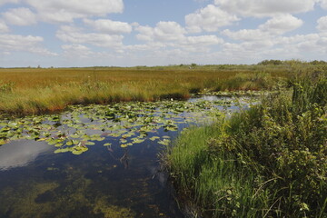 Everglades National Park, Florida, USA