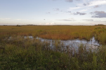 Everglades National Park, Florida, USA