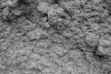Black and white photo. Texture of cracked earth. The background of the stone.