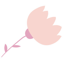 Isolated flower illustration in pink - graphic design element