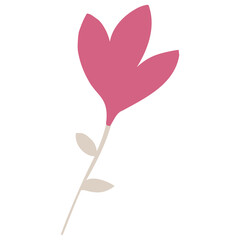 Isolated flower illustration in pink - graphic design element