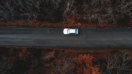 dron view of a car driving on the road
