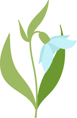 Fototapeta na wymiar Snowdrop flower flat icon Bloom stem and leaves