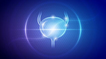 Human Bladder Urinary System Futuristic Medical Hologram Neon Glow Translucent Backdrop Background Illustration