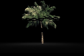 Fototapeta premium Barbed wire over silhouette of palm tree against black background