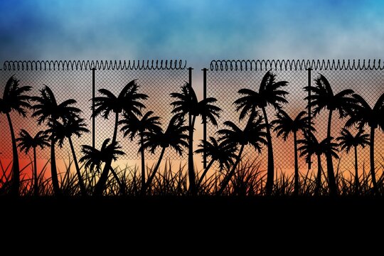 Barbed wire over silhouette of palm trees against sunset sky