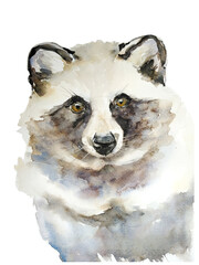 Japanese tanuki raccoon watercolor illustration.