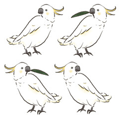 左右向きのキバタンセット