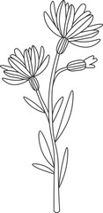 Wildflowers line art Contemporary floral design