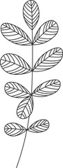 Wildflowers line art Contemporary floral design