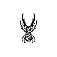 black beetle insect vector illustration