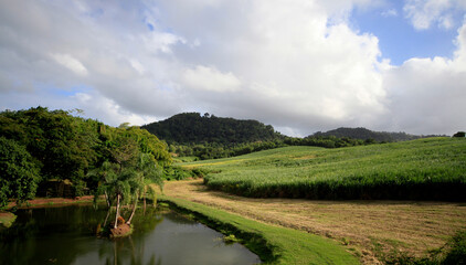 Fototapeta na wymiar countryside near Le Robert village, Martinique island