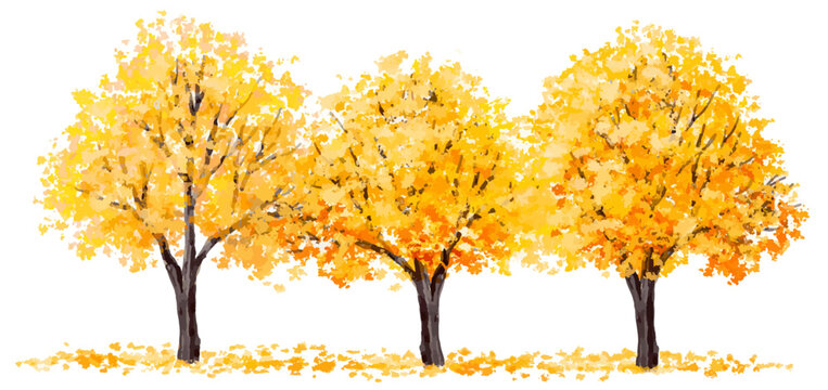Vector watercolor blooming flower tree or forest side view isolated ofn white background for landscape and architecture drawing,elements for environment and garden,botanical for section in autumn   