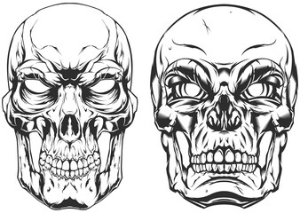 Hand drawn human skull isolated on white. Tattoo drawing on light background.