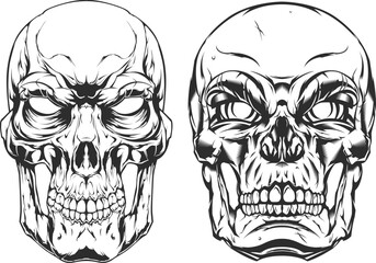 Hand drawn human skull isolated on white. Tattoo drawing on light background.