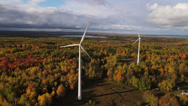 Couple of wind turbines surrounded by vibrant autumn forest, aerial orbit view