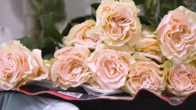 Close up on a soft pink rose bouquet