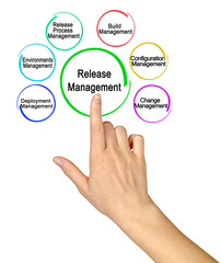  Six Components of Release Manager