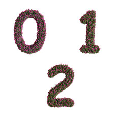 3D letter Nerium oleander flowers alphabet  - digits 0-2