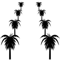 Fototapeta na wymiar Palm Trees Black Silhouette