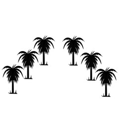 Palm Trees Black Silhouette