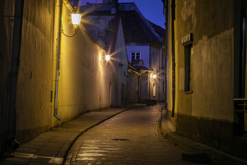 Vilnius old town street illuminated at night, Lithuania, Baltics