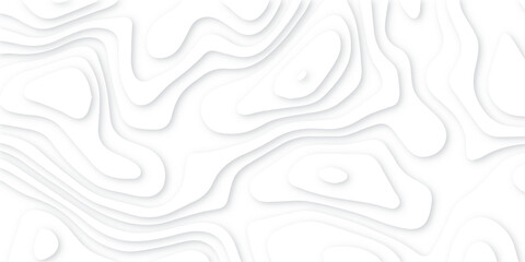 Obraz premium Abstract white papercut background with waves. Abstract papercut and multi layer cutout geometric pattern on vector, Abstract soft white background with waves, textured Papercut. 